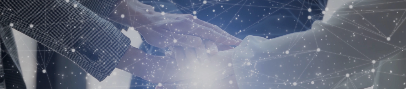 IT Solutions Business